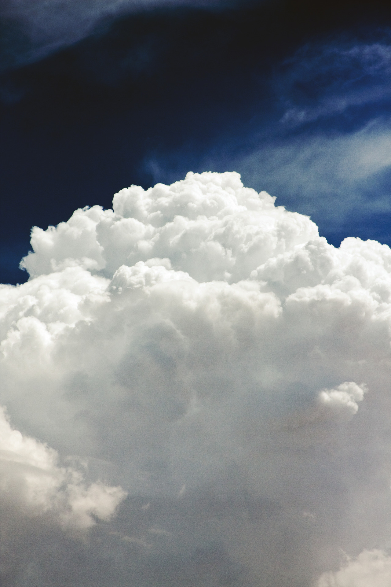 more EXQUISITEness inside